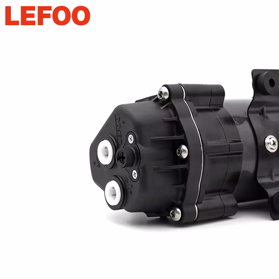 Bomba de agua de diafragma eléctrica en miniatura de 12/24 V CC a la venta